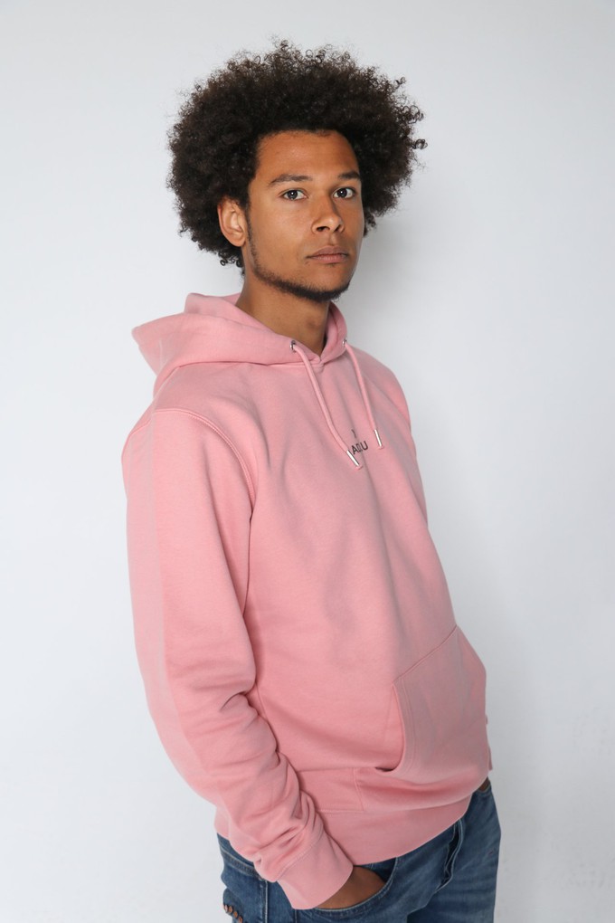 Canyon pink hoodie - Unisex from ADD.U