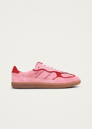 Tb.490 Rife Sea Pink Leather Sneakers from Alohas
