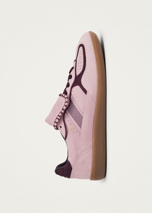 Tb.490 Club Suede Pink Leather Sneakers from Alohas