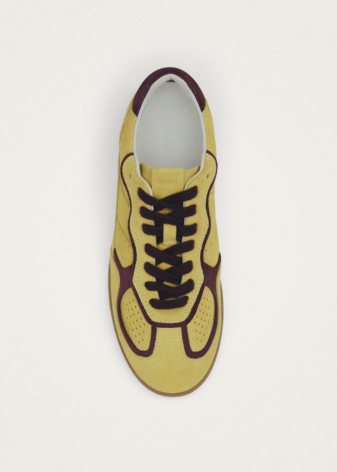 Tb.490 Rife Vanilla Leather Sneakers from Alohas