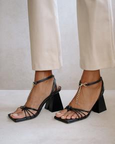 Cactus Black via Alohas