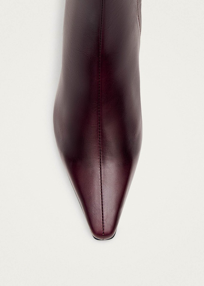 Ambar Rift Burgundy Leather Ankle Boots from Alohas