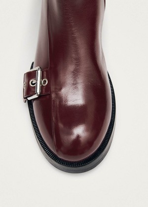 Agyness Burgundy Leather Ankle Boots from Alohas