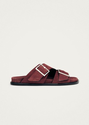 Alba Suede Burgundy Leather Sandals from Alohas