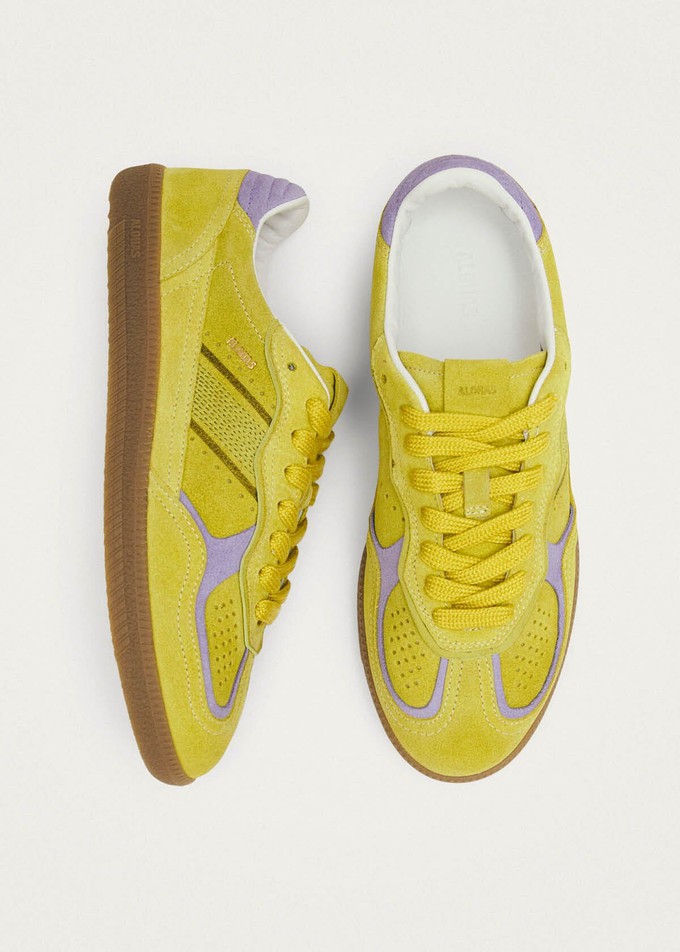 Tb.490 Rife Acid Green Leather Sneakers from Alohas