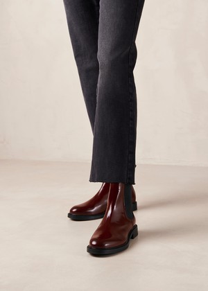 Lanz Burgundy Leather Ankle Boots from Alohas