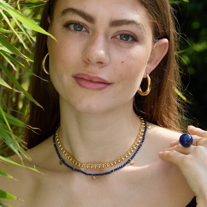 Lola Large Curve Hoop Earrings from Amadeus