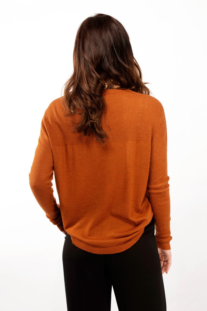 Brown cashmere sweater with rib knit details from Asneh