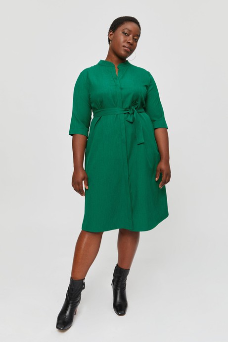 Lidia | Shirt Dress in Green from AYANI