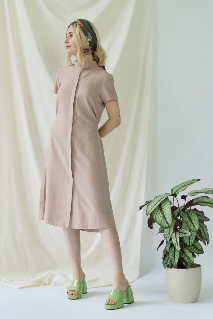 Melanie | Shirt Dress with short sleeves in rose from AYANI