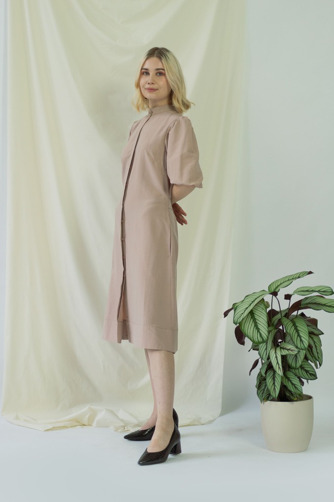 Melanie | Shirt Dress with balloon sleeves in rose from AYANI