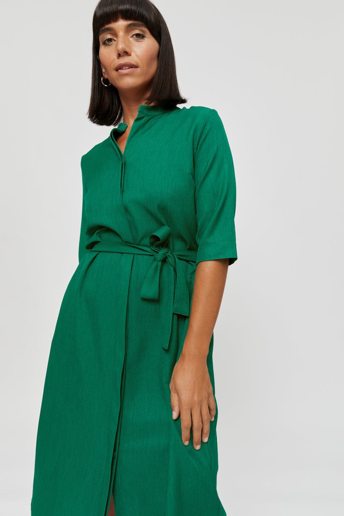 Lidia | Shirt Dress in Green from AYANI