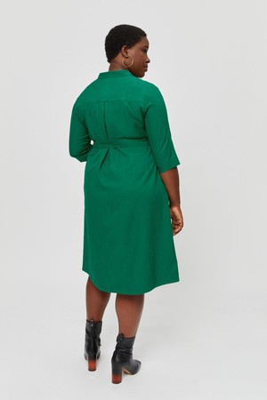 Lidia | Shirt Dress in Green from AYANI