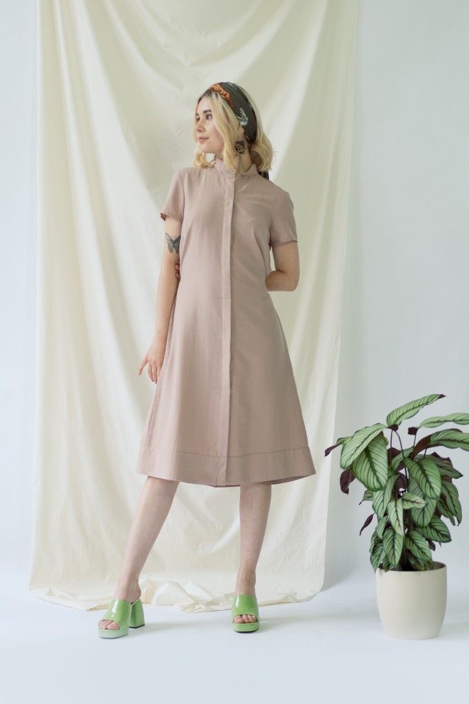 Melanie | Shirt Dress with short sleeves in rose from AYANI