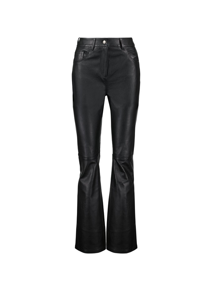 Jacqui Leather Trousers from Baukjen