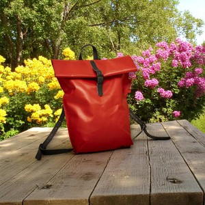 Responsible Ransel | Red from BENDL