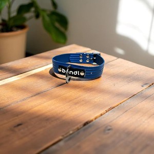  Blaffer – Blauwe hondenhalsband van brandslang from BENDL