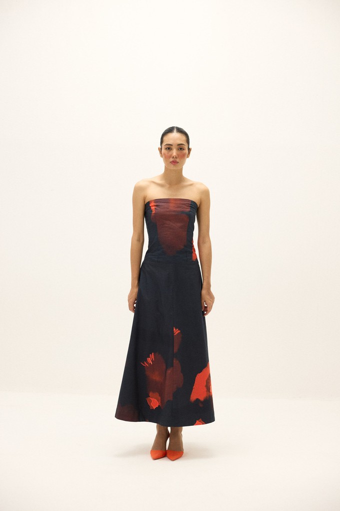 Suzanna Dress from Bhoomi