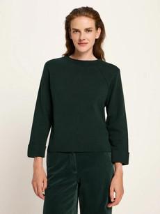 Punto milano truitje - forest via Brand Mission
