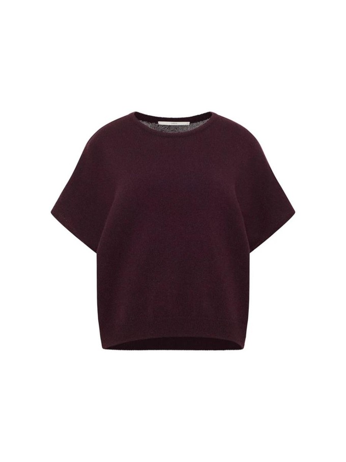 Pullunder top - bordeaux from Brand Mission