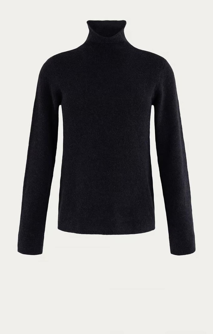 Fred coltrui - navy solid from Brand Mission