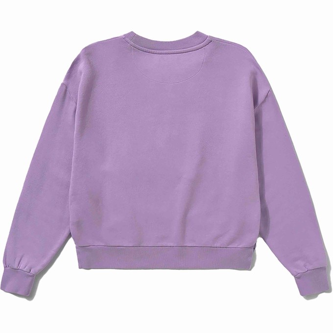 Sweatshirt Peanuts - lavender from Brand Mission