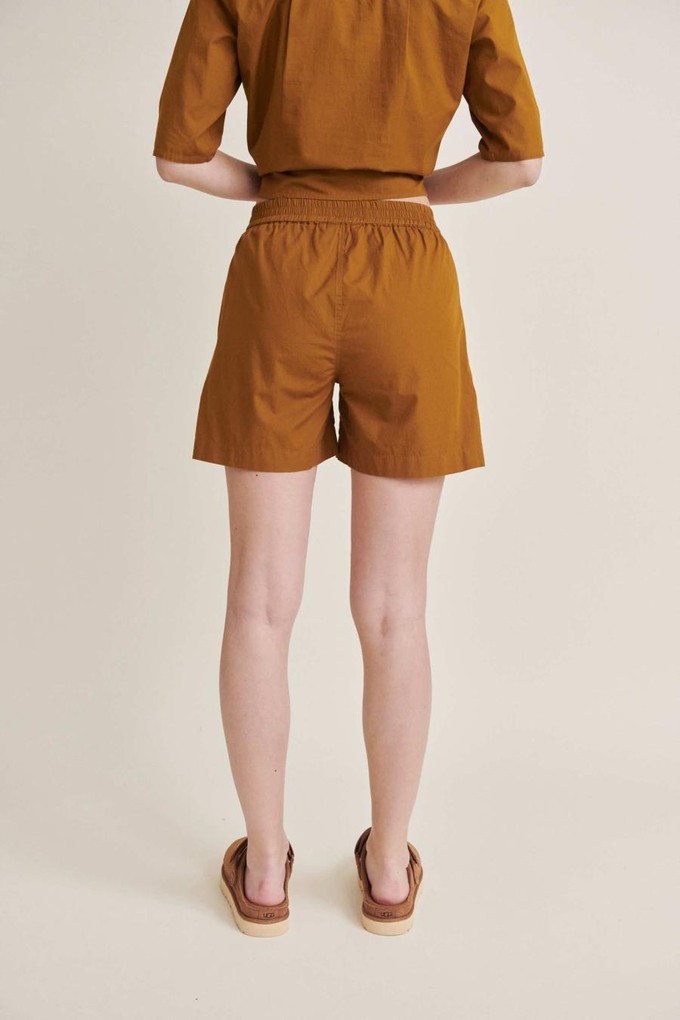 Silje shorts - tapenade from Brand Mission