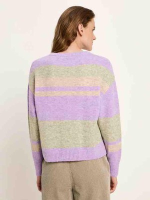 Virgin wollen trui ronde hals - pastel multicolour from Brand Mission