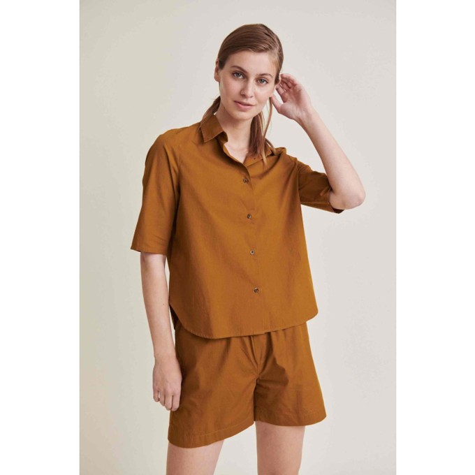 Silje ss shirts - tapenade from Brand Mission