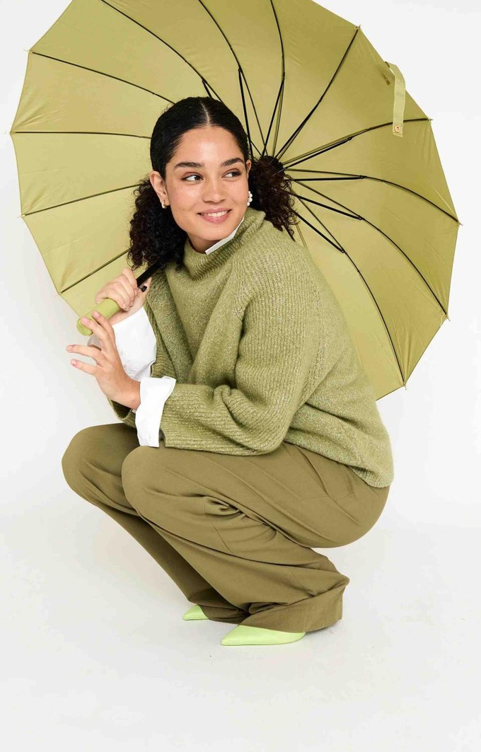 Hyla pullover - Pistache solid from Brand Mission