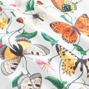 T-shirt visby butterfly field - white from Brand Mission