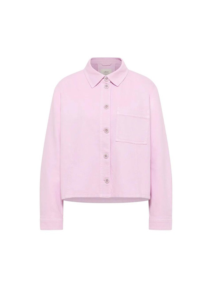 Jasje - orchid from Brand Mission