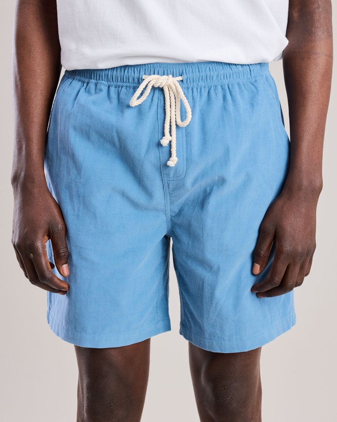 Baby Cord Short Cloud from Brava Fabrics