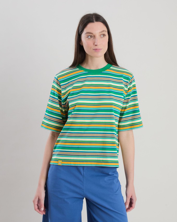 Stripes Boxy Tee Green from Brava Fabrics