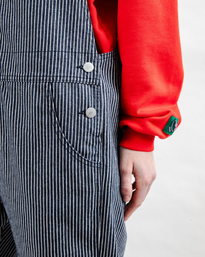 Denim Stripes Overall from Brava Fabrics