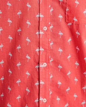 Magnum Flamingo Printed Shirt from Brava Fabrics