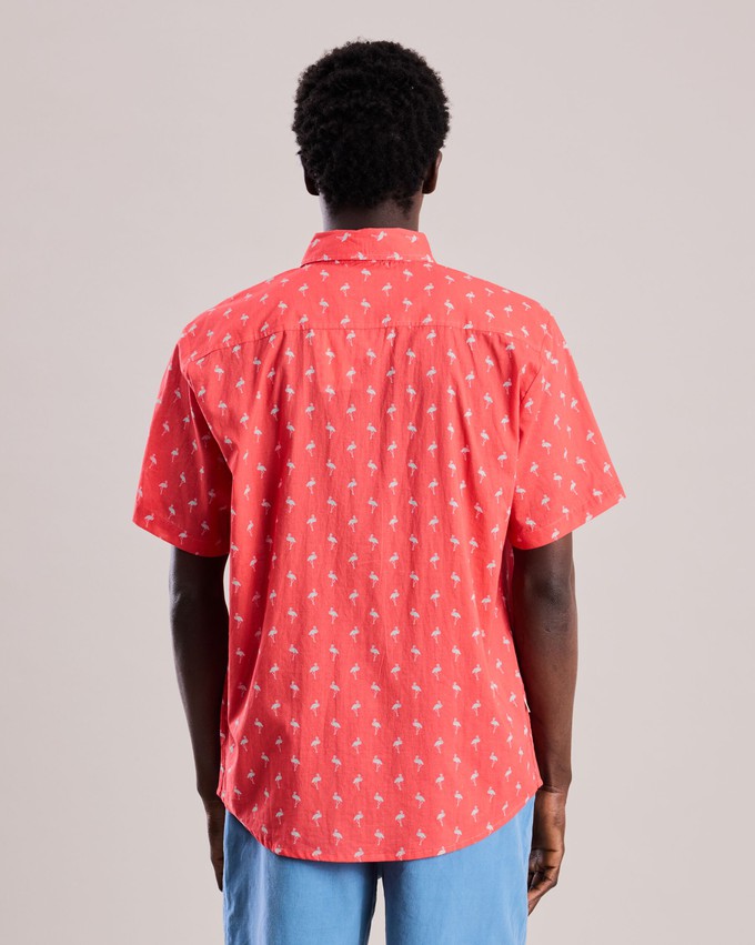 Magnum Flamingo Printed Shirt from Brava Fabrics