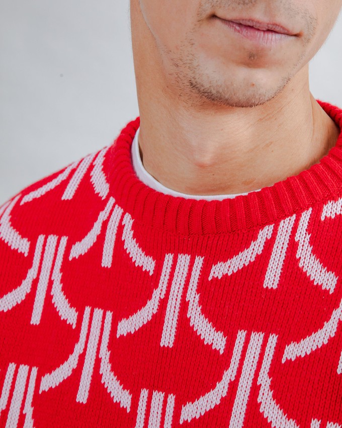 Atari Sweater Monogram Jacquard from Brava Fabrics