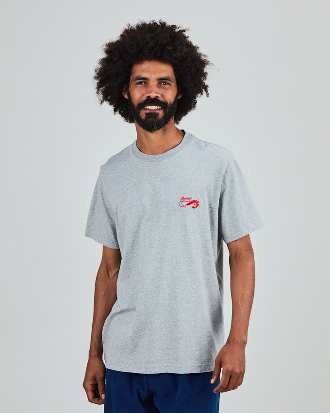 Shrimpy Brava T-Shirt Grey Melange from Brava Fabrics