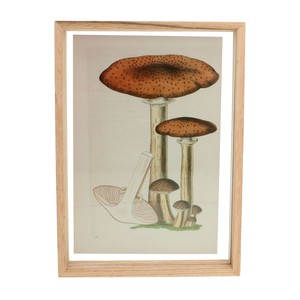 Fotolijst, eikenhout, 21 x 30 cm from Dille & Kamille