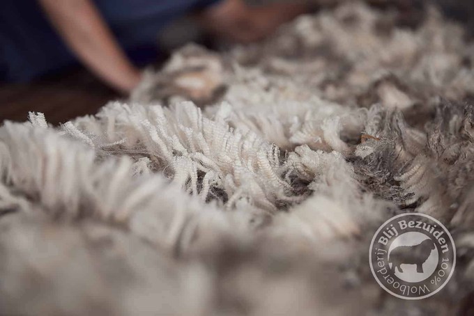DutchMerino Sjaal Parel from Dutch Merino