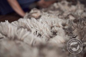 DutchMerino Sjaal Parel from Dutch Merino