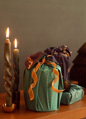 12 Piece Style Bundle - Jade & Midnight Reindeers from FabRap