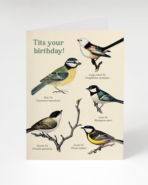 Wenskaart verjaardag "Tits your birthday!" from Fairy Positron