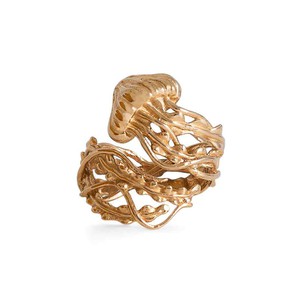 Bronzen ring kwal from Fairy Positron
