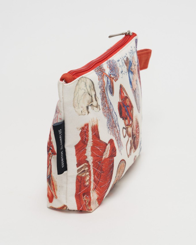 Etui anatomie from Fairy Positron