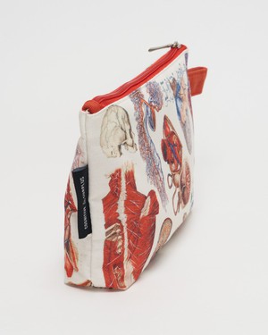 Etui anatomie from Fairy Positron