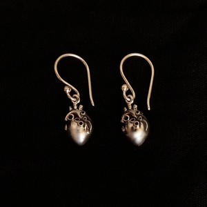 Zilveren oorbellen anatomisch hart (3D) from Fairy Positron