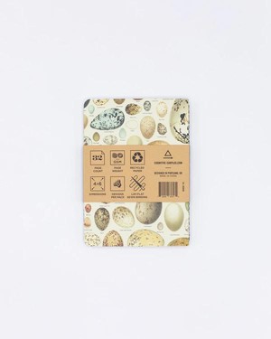 Set zaknotitieboekjes ornithologie from Fairy Positron