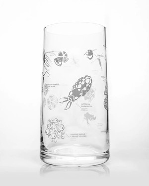 Glas Plankton from Fairy Positron
